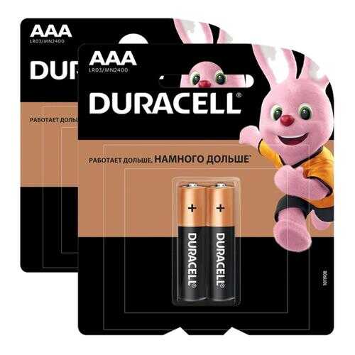 Батарейка Duracell Basic AAA LR03 2шт в ТехноПорт